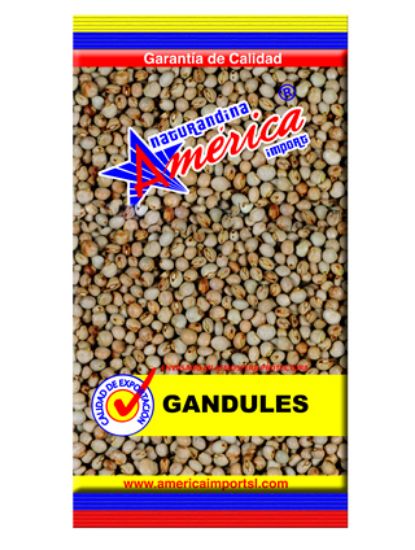 Imagen de GANDUL SECO 500G AMERICA