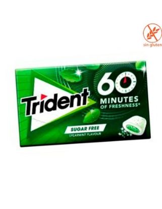 Imagen de CHICLES HIERBABUENA TRIDENT 60MIN