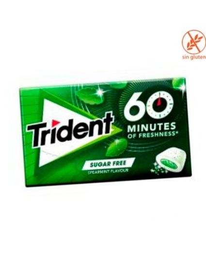 Imagen de CHICLES HIERBABUENA TRIDENT 60MIN
