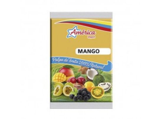 Imagen de PULPA DE MANGO 250G AMERICA