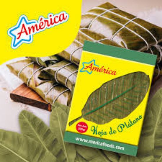 Imagen de HOJA DE PLATANO AMERICA 500G