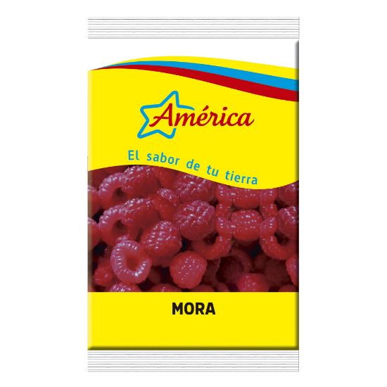Imagen de MORA ENTERA 500G AMERICA