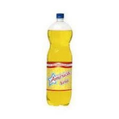Imagen de AMERICA KOLA 2L